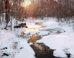 Paint Along: Paint Winter Landscapes with a Warm Embrace